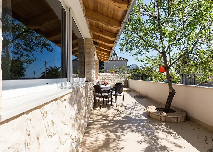 Nedo * سفيتي فيليب ياكوف