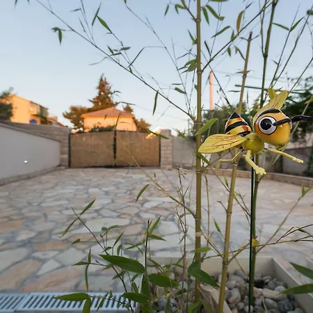 Nedo Свети-Филип-и-Яков